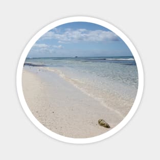 Isla Saona Seashell on Caribbean Beach Magnet